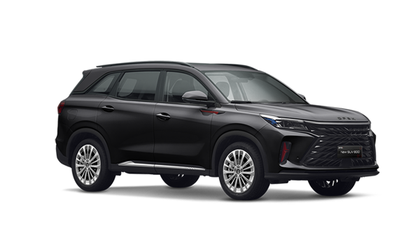 Version 1 - Color selected 5