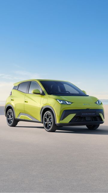 BYD Dolphin Surf